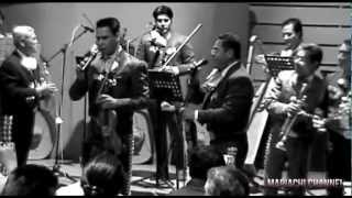 EL CIHUALTECO | CRESCENCIO HERNANDEZ y MARIACHI SONIDOS DE AMERICA chords