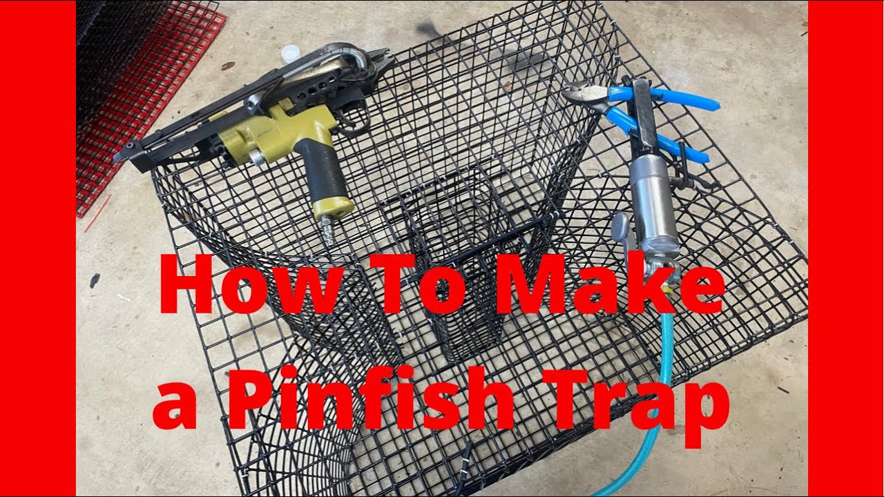 How To Make The Best otter proof Pinfish/Bait Trap 