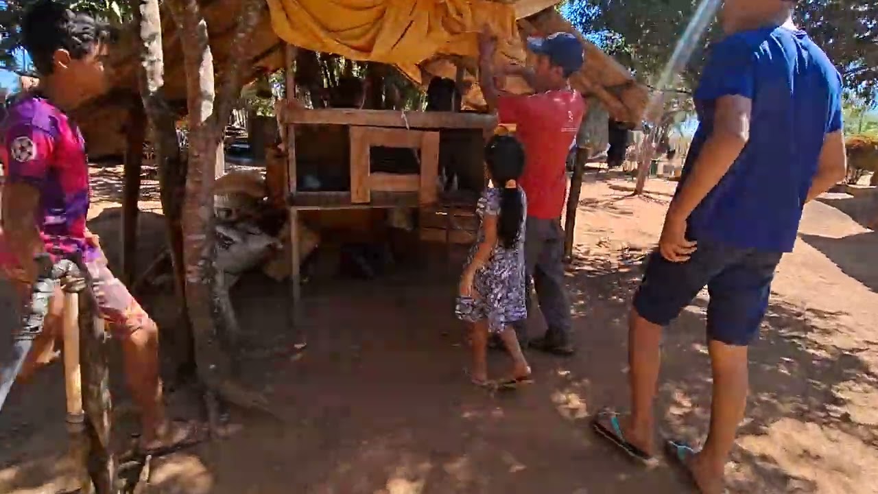Sertão do Maranhão (mostrando criatorio de galinhas caipiras).