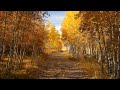 October 17-19: Adel/Plush area - Part 2 of 3