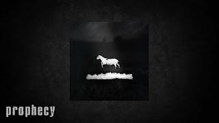 Les Discrets - Virée nocturne
