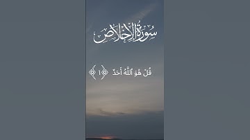 surah ikhlas ☝️ #egzonibrahimi #سورة_الإخلاص #ikhlas #اكسبلور #quran #duet #surah