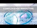 Complexidade Irredutível