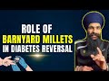 Reverse type2 diabetes with barnyard millets