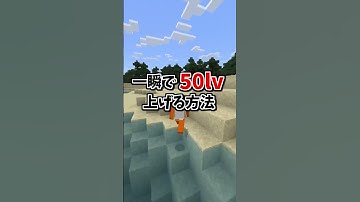 誰も教えてくれないサバイバルで最速レベル上げ！ 【マイクラ】 #shorts