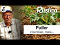 Comment pailler son potager