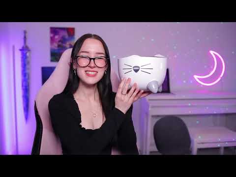 Featured image for the guide to I Bought The MOST WISHED FOR Cat Products From Amazon... *are they worth buying?!* by Sophie Louise