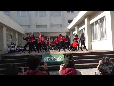 鹿児島大学dancecircle K U D Youtube