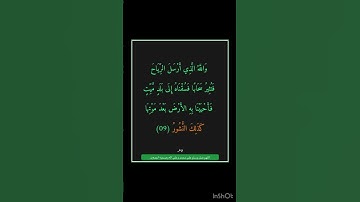 سورة فاطر - سورة 35 - اية 09