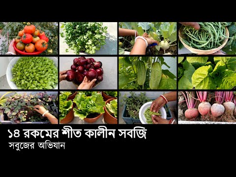 ভিডিও: শীতের সবুজ মাংস-লাল