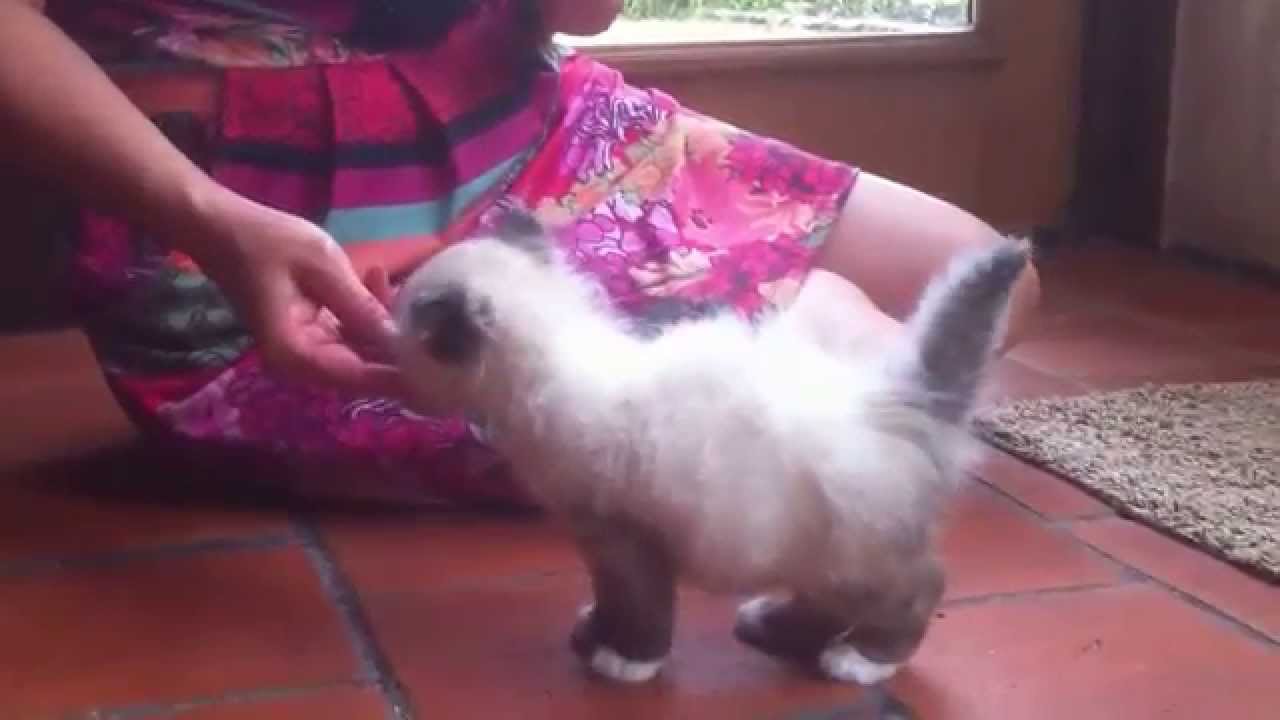 Masterlocksafety Part 27