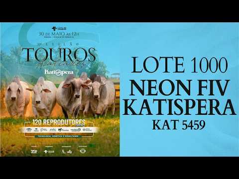 LOTE 1000 KAT 5459
