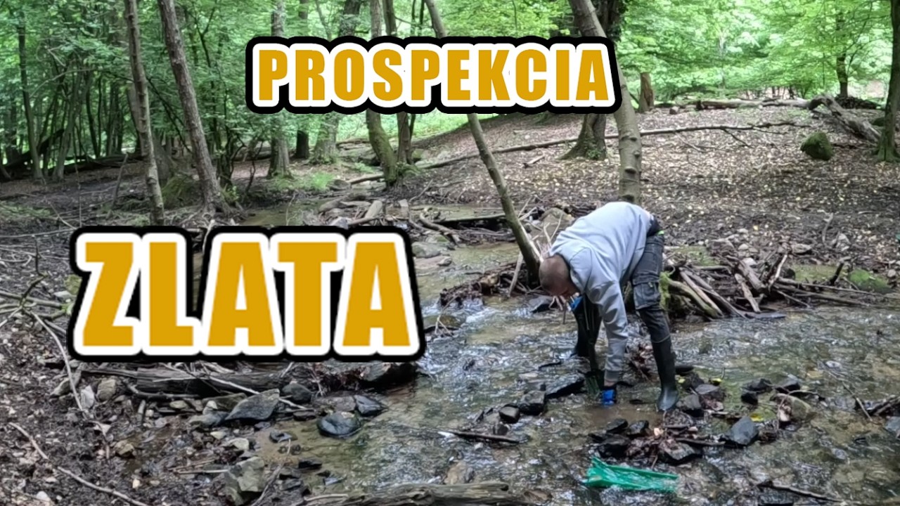 Prospekčné ryžovanie zlata na Západnom Slovensku ✨💰 Proskecia zlatonosného potoka ✨💰