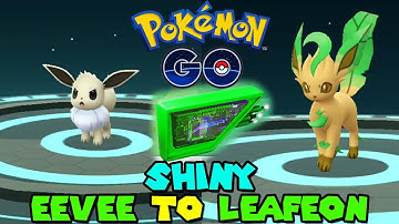 Evolving SHINY EEVEE TO SHINY LEAFEON IN POKEMON GO - MOSSY LURE