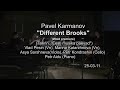 Pavel karmanov  different brooks in tallinn