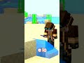 Acqua infinita Minecraft