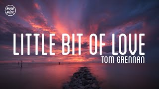 Video thumbnail of "Tom Grennan - Little Bit of Love (lyrics)"