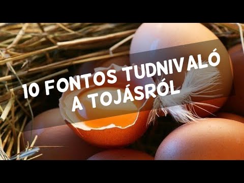 Videó: Mi A Tojás Eltarthatósága