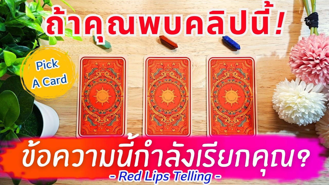 Pick A Card : ถ้าคุณพบคลิปนี้ ข้อความนี้กำลังเรียกหาคุณ? [ Timeless ]