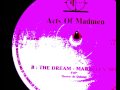 Acts of madmen  the dream