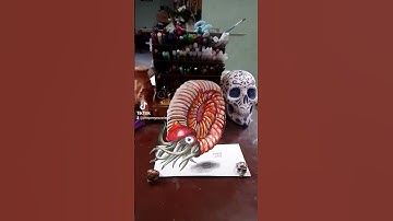 #nautilus #drawing #dibujo #dibujandoando