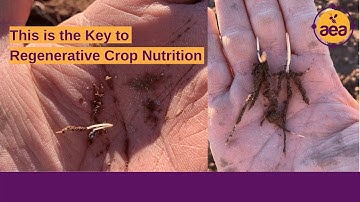 The Key to Regenerative Crop Nutrition | Establishing Biology at Planting to Supply Nutrients