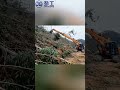 JINGGONG Telescopic Boom Logging Machine: Working on Steep Forest Slopes