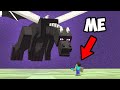 Minecraft, But I Shrunk My Friend "By Accident"...