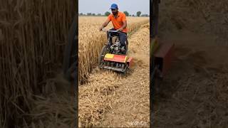 Cutting Machine #machine #farming #shorts #viral #trending