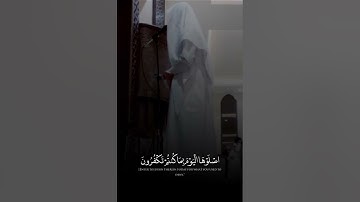 أواخر سورة يس بتلاوة عراقية مؤثرة للقارئ فيصل الهاجري