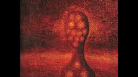 Steve Kilbey & Martin Kennedy - The Other Place