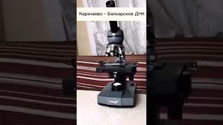 Карачаево-Балкарцы 𖤊ᨒ Аланы/Тюрки Кавказа