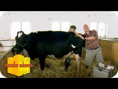 Schwarzes Loch | Mensch Markus