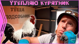 видео: Утепляю сарай  у тещи. Шикарный курятник. Проект -  картинка: Утепляю сарай  у тещи. Шикарный курятник. Проект -
