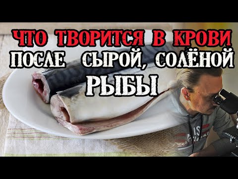 Кровь после сырой, солёной рыбы | Скумбрия