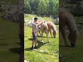 Dhruv Rathi animal lover video #dhruvrathee