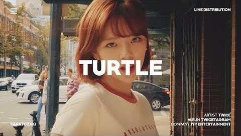 معنى جديد آمنة جبل كيلويا Twice Turtle Mp3 Southerntierthunder Com