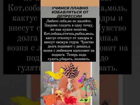 ГОВОРЯТ,ЧТО КОТЫ И ДРЕССИРОВКА НЕСОВМЕСТИМЫ. МОЙ КОТ ВЫДРЕССИРОВАЛ МЕНЯ ЗА 3 ДНЯ😃 @lyudmylafinch