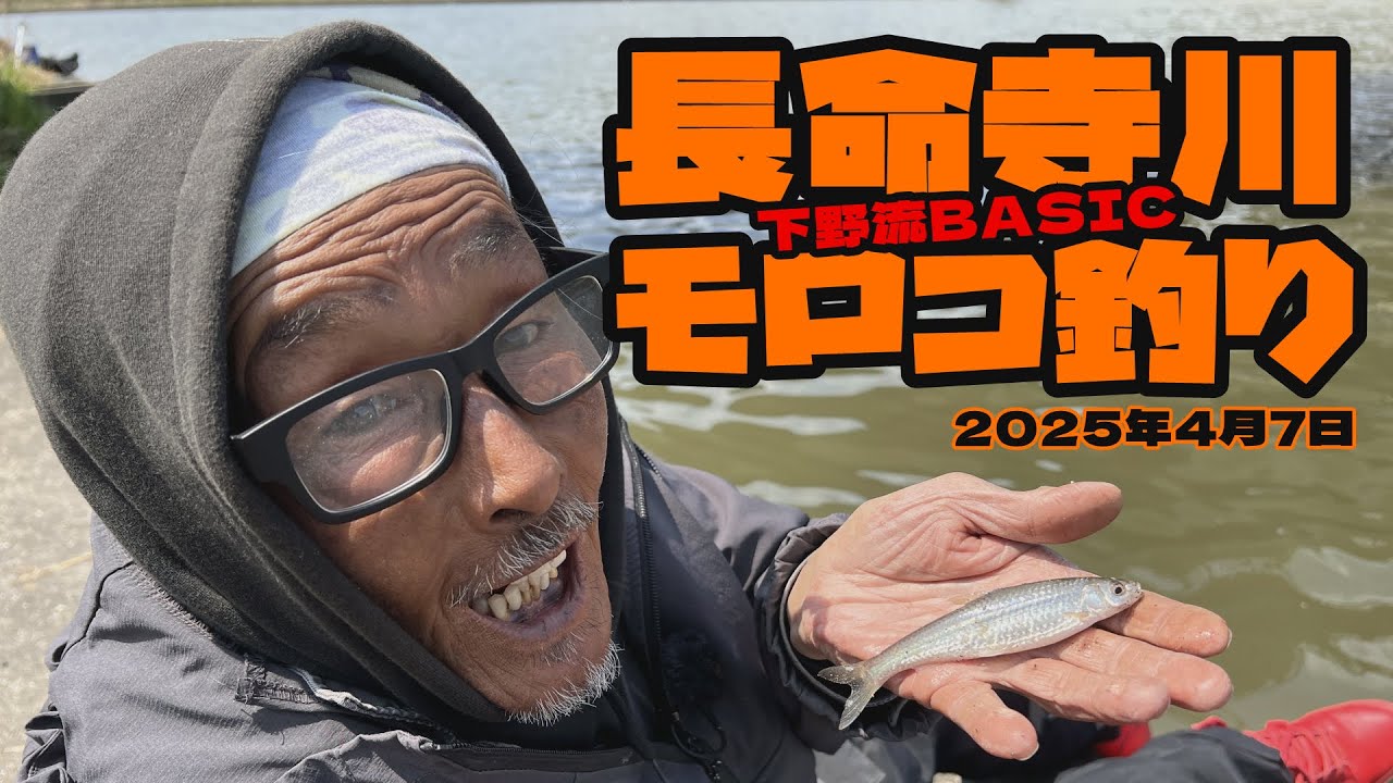 長命寺川でモロコ釣り　4月7日【下野流BASIC】下野正希　春の琵琶湖　琵琶湖バス釣り　バス釣り　モロコ