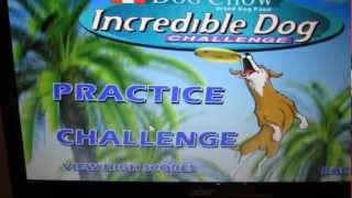 Purina Incredible Dog Challenge PC Game!! screenshot 3