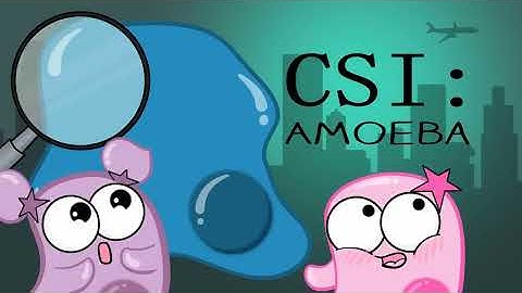 DNA, Chromosomes, Genes, and Traits: An Intro to Heredity