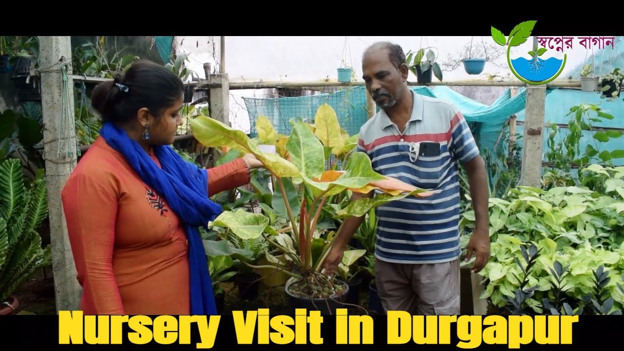 Nursery Visit in Durgapur Durgapur Nursery Durgapur Entertainment
