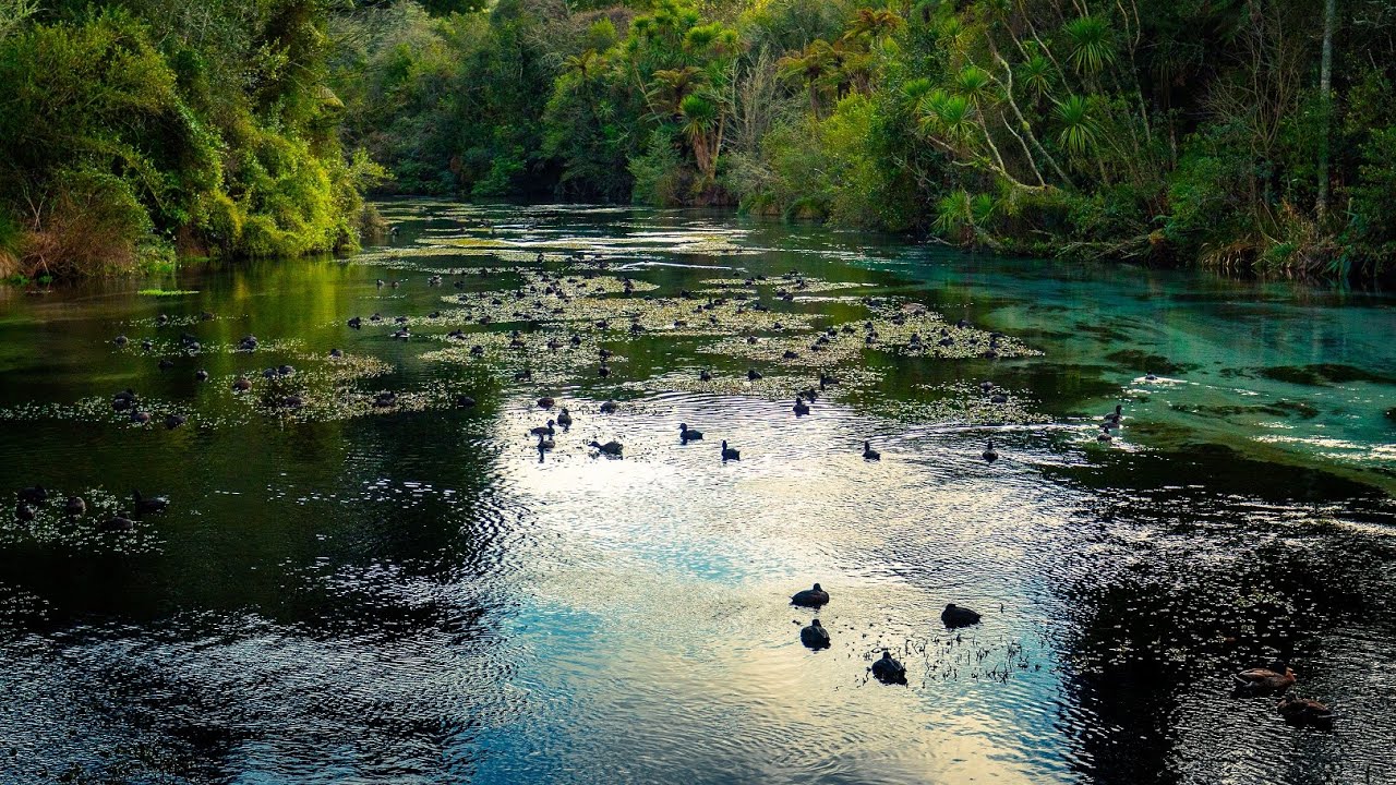 Hamurana springs - YouTube