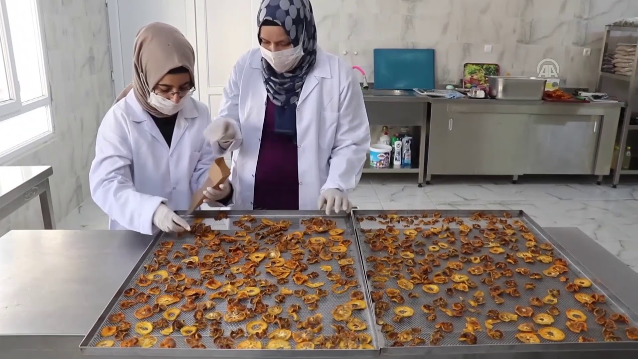 FAREFFECT GIDA KURUTMA MAKİNESİ  - POZKAD HABERİ ANADOLU AJANSI