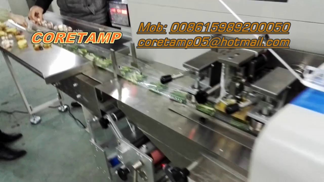 Green Seasoning(ginger, green onion, garlic) Packing Machine