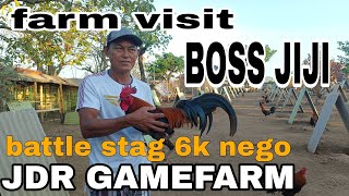 BOSS JIJI DEL ROSARIO NG JDR GAMEFARM MGA SOLID GOLDEN BOY & SUPER BROWN RED RANGE SA 6K BATTLE STAG