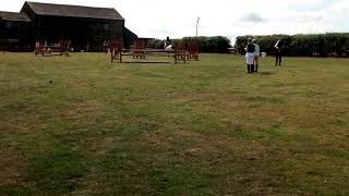 Laithehill Demetrius And Olivia Sagar Open Whp 04 08 2018