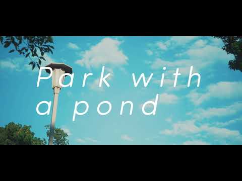 Park with a pond 1