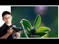 ポートレートフォトグラファーが撮った風景写真。私の撮る写真はこんな感じ！【作品紹介と自己紹介】