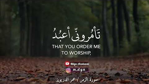 قل أفغير الله تأمرونّي أعبدُ أيها الجــاهلون || تلاوة جميلة من القارئ عمر الدريويز💜💭